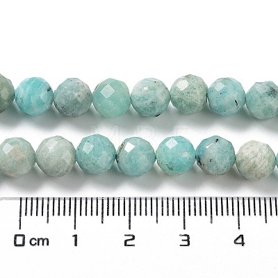 Natural Amazonite Beads Strands G-J400-E11-07AB-1