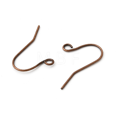Iron Earring Hooks IFIN-T001-04R-NF-1