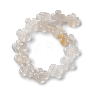 Natural White Agate Beads Strands G-M418-D03-01-1