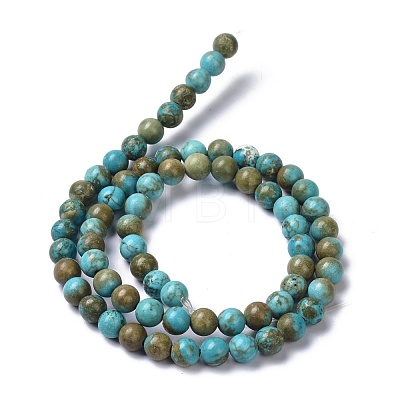 Natural Howlite Beads Strands G-C180-18-1