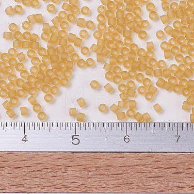MIYUKI Delica Beads SEED-J020-DB0742-1