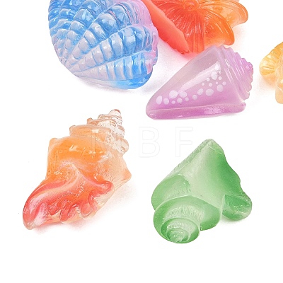 Luminous Resin Shell Shape & Conch Display Decorations RE-CBA17C4-22-1