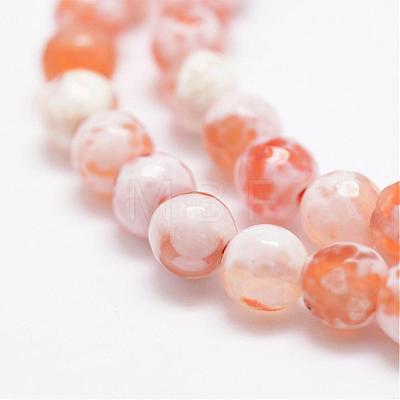 Faceted Natural Fire Crackle Agate Beads Strands G-F447-6mm-B03-1