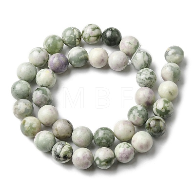 Natural Peace Jade Beads Strands G-E598-04A-1