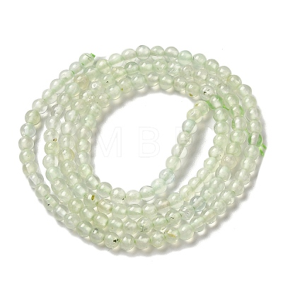 Natural Prehnite Beads Strands G-B090-A19-03-1