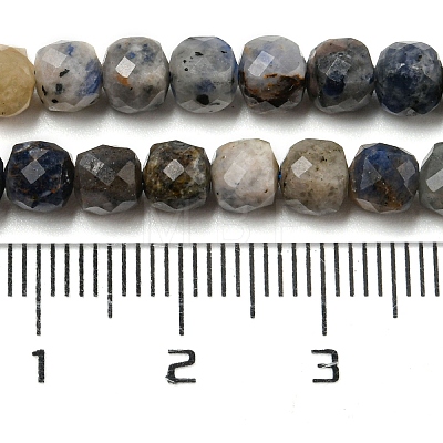 Natural Sodalite Beads Strands G-A097-D01-06-1