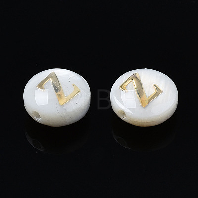 Natural Freshwater Shell Beads X-SHEL-S278-036Z-1