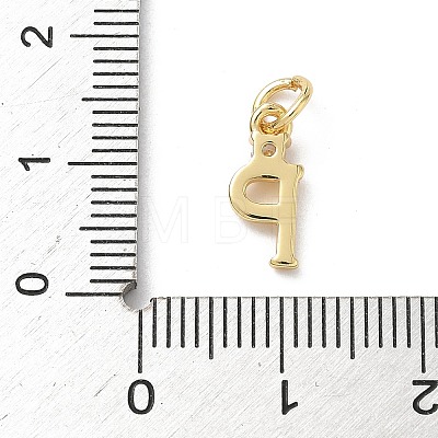 Brass Pave Clear Cubic Zirconia Charms KK-A273-01G-P-1