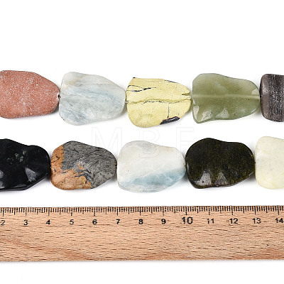 Natural Gemstone Beads Strands G-T143-20B-1