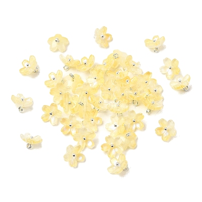 Glass Charms GLAA-G127-05D-1