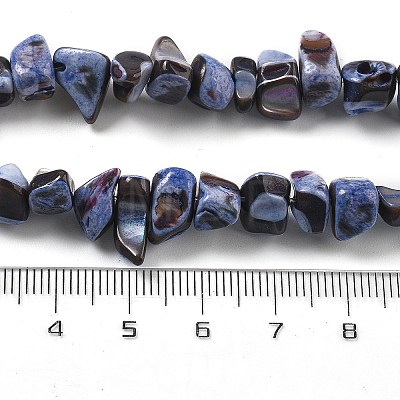 Dyed Natural Trochus Shell Beads Strands BSHE-Z006-01C-1