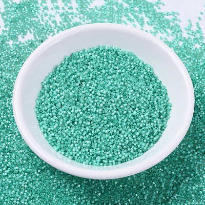 MIYUKI Delica Beads SEED-X0054-DB0627-1