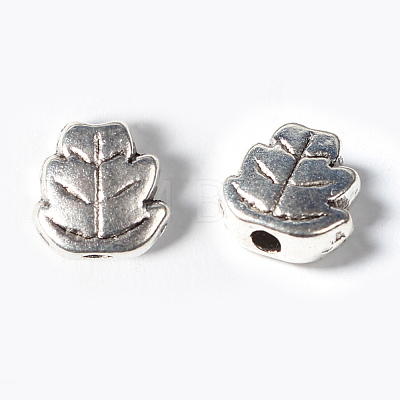 Tibetan Style Alloy Beads LS-LF0069Y-1