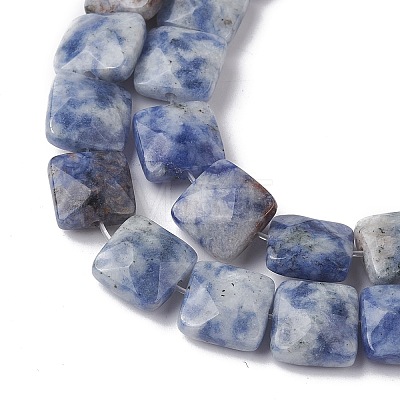 Natural Blue Spot Jasper Beads Strands G-K359-B19-01-1