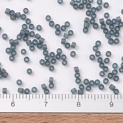 MIYUKI Delica Beads SEED-MY11-DB0387-1