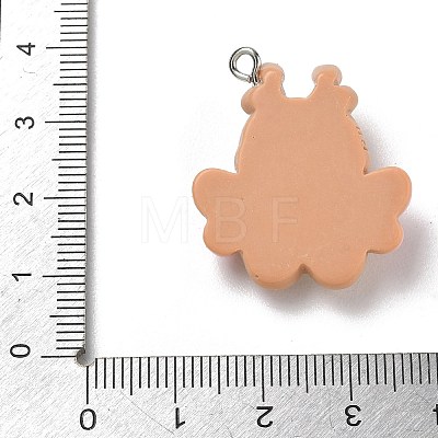 Opaque Resin Pendants RE-CBAFA24-02-1