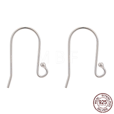 925 Sterling Silver Earring Hooks STER-G011-08-1