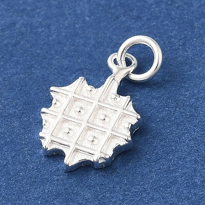 925 Sterling Silver Imitation Food Charms FIND-U013-11S-04-1