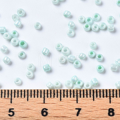 Glass Seed Beads SEED-S060-A-973-1