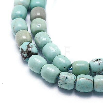 Natural Magnesite Beads Strands G-F578-06-1