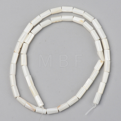 Natural Freshwater Shell Beads Strands SSHEL-R048-006A-1