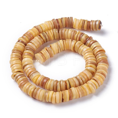 Natural Freshwater Shell Beads Strands X-BSHE-I016-04B-1