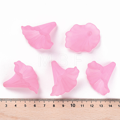 Transparent Acrylic Beads BSF796-C10-1