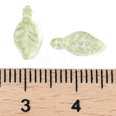 Transparent Acrylic Charms TACR-F009-11B-1