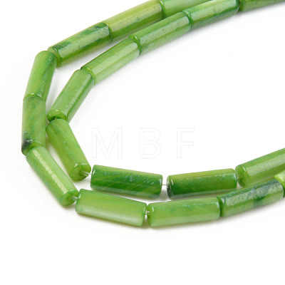 Natural Freshwater Shell Beads Strand SHEL-T017-40A-1