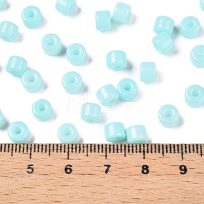 Opaque Baking Paint Glass Seed Beads SEED-T008-02N-1