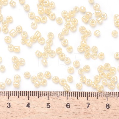 Glass Seed Beads SEED-XCP0001-01-1