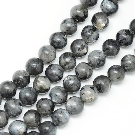 Natural Larvikite Beads Strands G-R345-6mm-33-1