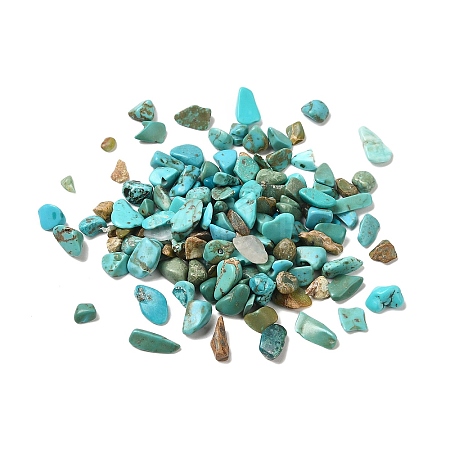 Synthetic Turquoise Chip Beads G-O103-04-01-1