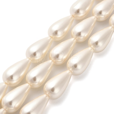 Electroplate Shell Pearl Beads Strands BSHE-G010-10x20mm-01-1