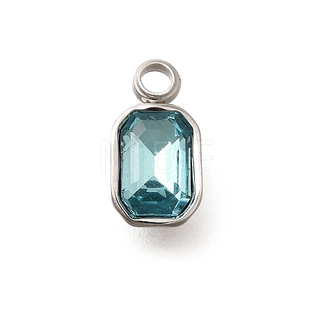 304 Stainless Steel Pendants STAS-Q346-03P-03-1