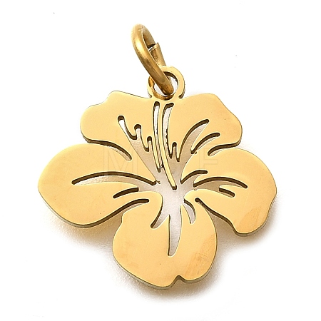 304 Stainless Steel Charms STAS-Z119-26G-1