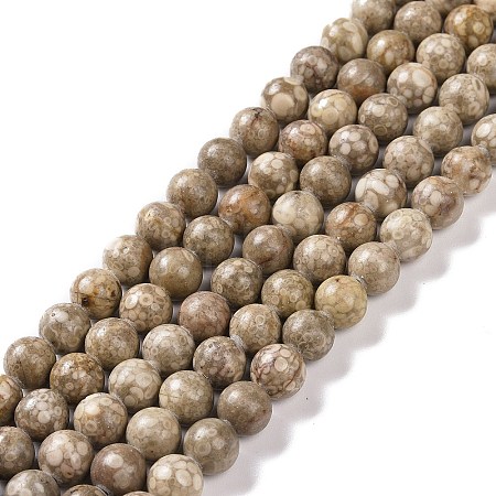 Natural Maifanite/Maifan Stone Beads Strands G-I187-8mm-01-1