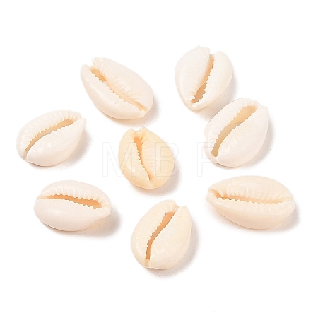 Natural Cowrie Shell Beads BSHE-Q296-1-1