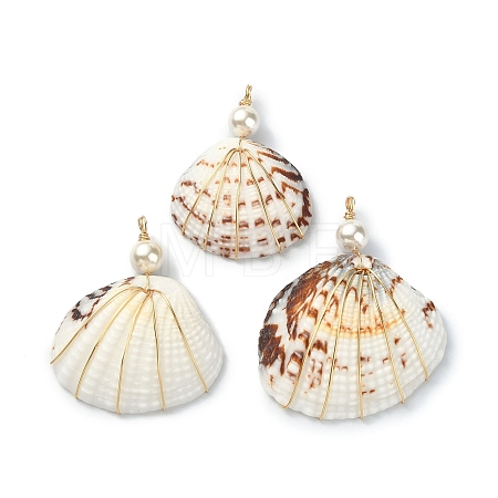 Natural Shell Copper Wire Wrapped Pendants PALLOY-TA00078-03-1
