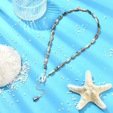 Natural Paua Shell and Brass and 304 Stainless Steel Curb Chains Necklaces NJEW-JN06197-1