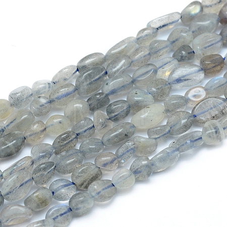 Natural Labradorite Beads Strands G-L550A-06-1