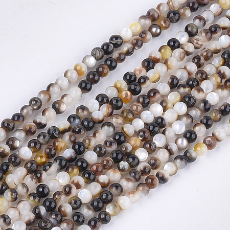 Black Lip Shell Beads Strands SHEL-S274-92A-1