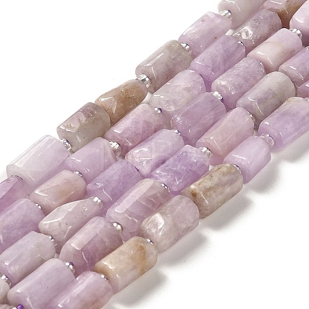 Natural Kunzite Beads Strands G-N327-06-36-1