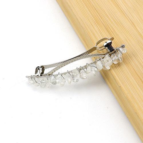 Alloy Hair Barrettes PW-WG062DF-02-1