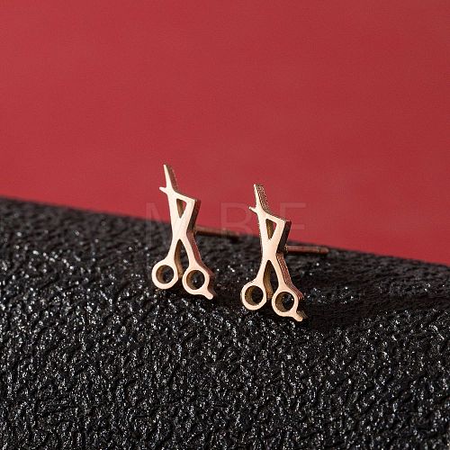 Stainless Steel Stud Earrings for Women PW-WGFE412-25-1