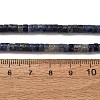 Natural Sodalite Beads Strands G-P468-19-8