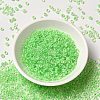 12/0 Transparent Glass Seed Beads X-SEED-F003-03C-13-2
