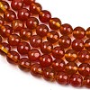 Handmade Lampwork Beads Strand LAMP-B056-8mm-17-4
