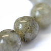 Natural Labradorite Round Bead Strands X-G-E334-4mm-19-4
