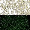 Luminous Glass Seed Beads SEED-A033-07K-2
